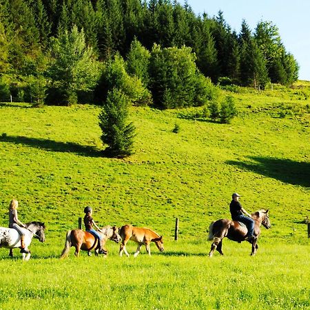 Steinbachgut Villa Flachau Kültér fotó