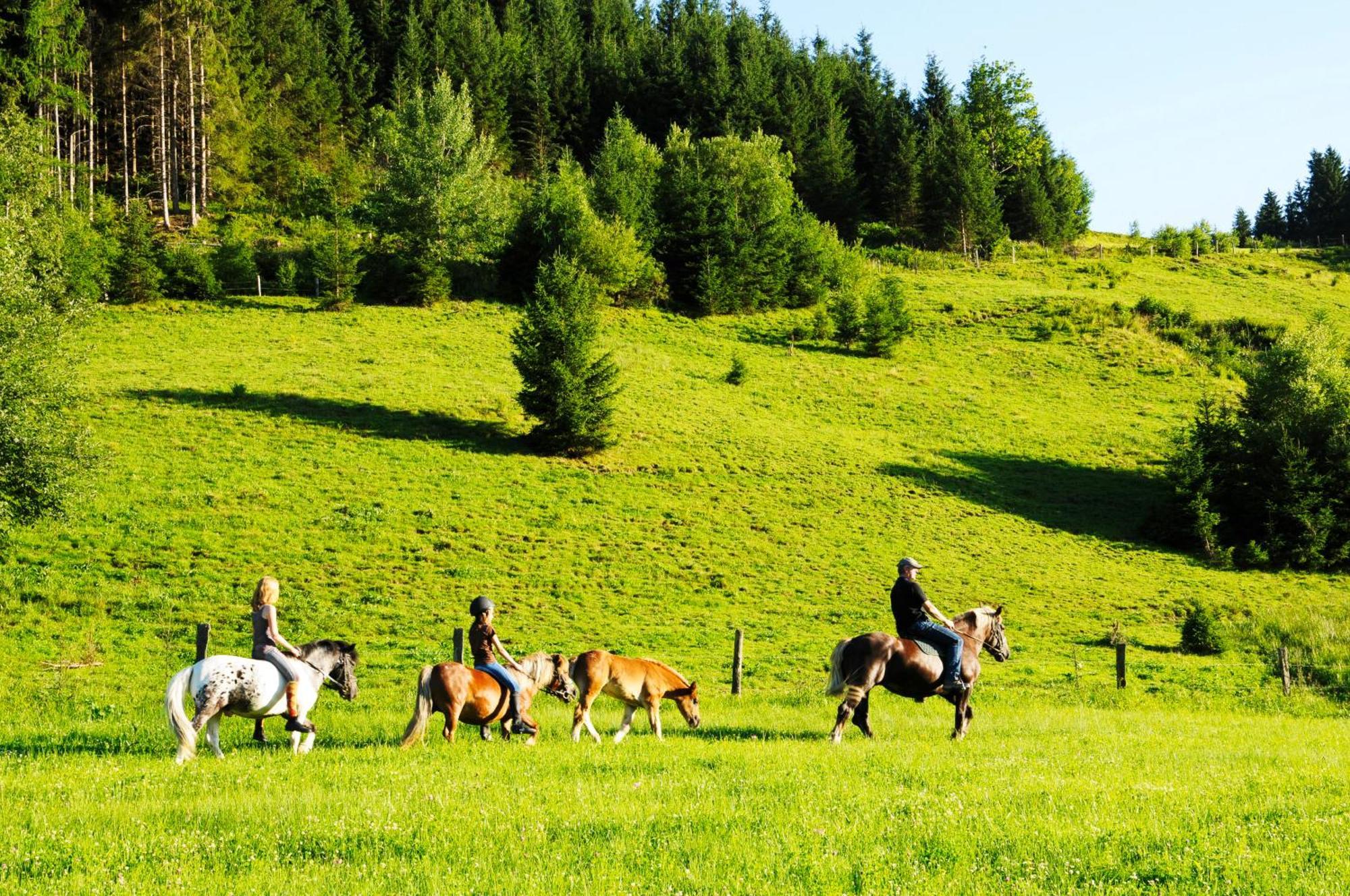 Steinbachgut Villa Flachau Kültér fotó