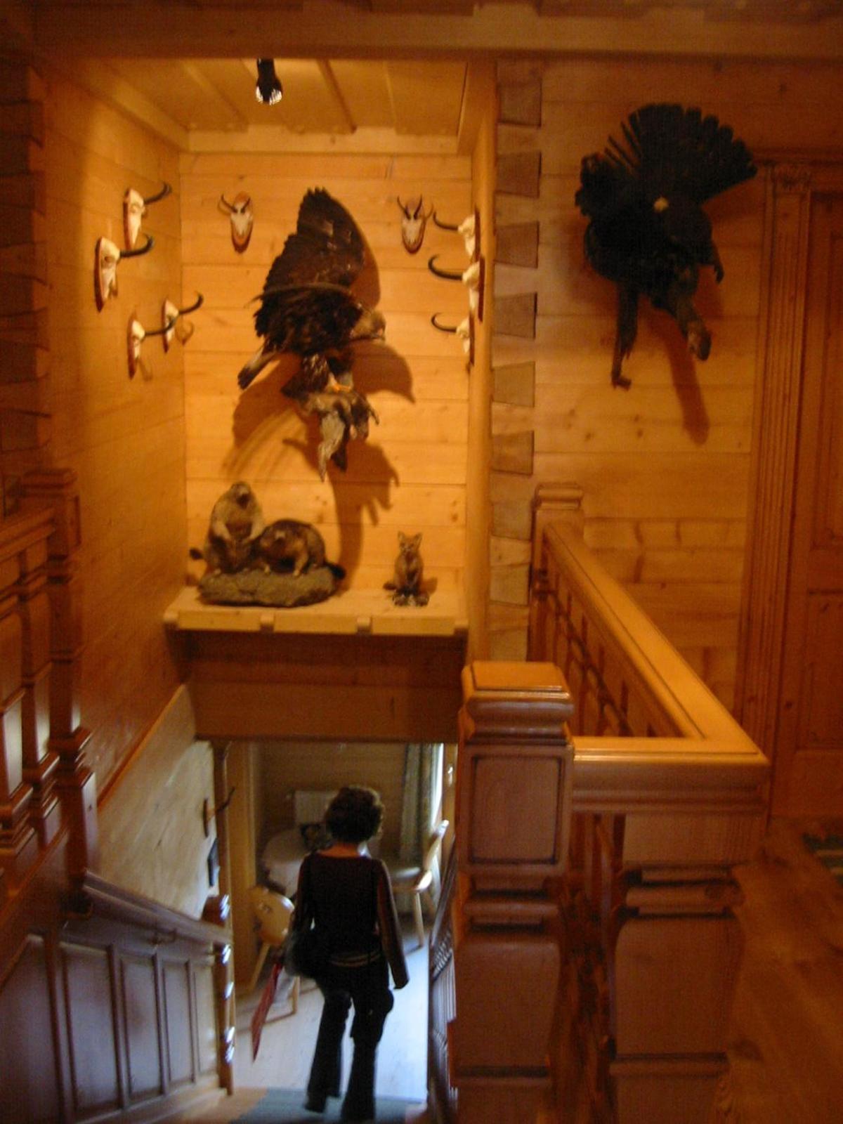 Steinbachgut Villa Flachau Kültér fotó